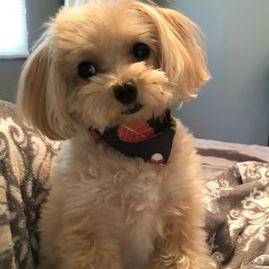 Meet your Posher, Krystle